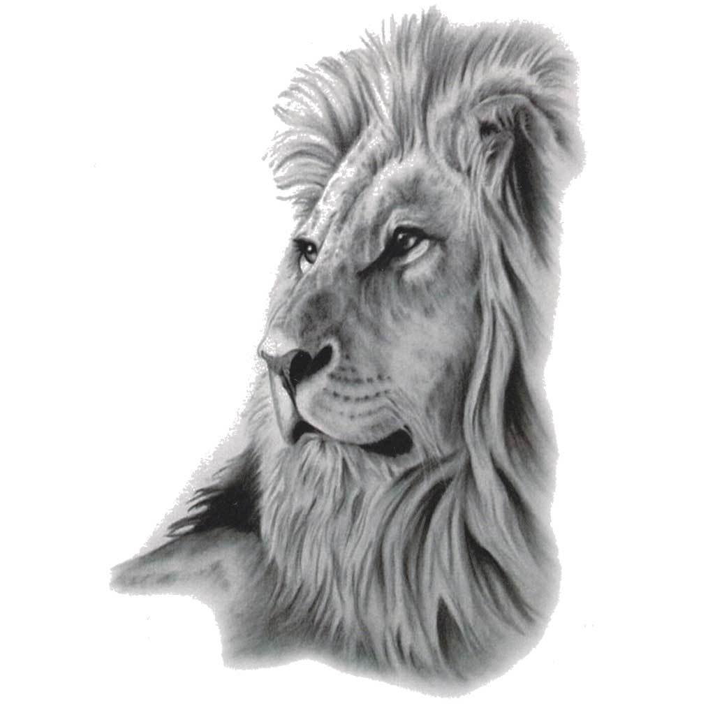 Alpha Male Lion Temporary Tattoo