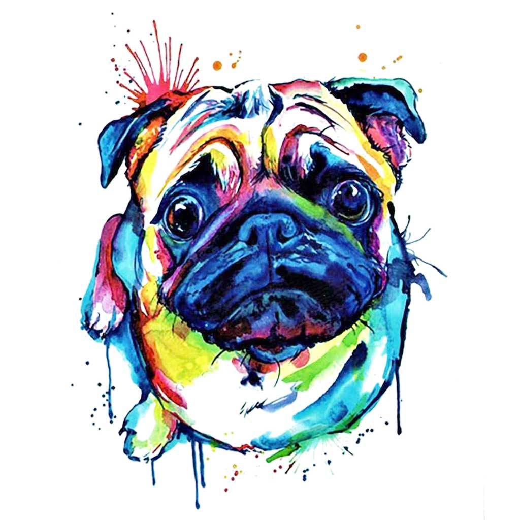 Pug Colour Splash Temporary Tattoo